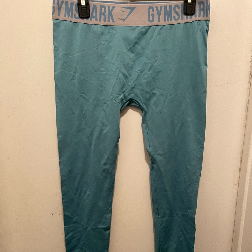 Teal Gymshark Workout Leggings